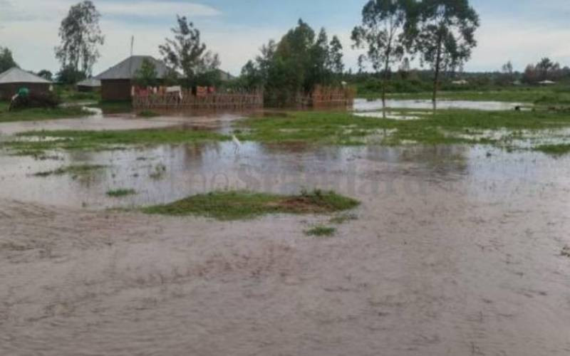 Warming El Nino may return later this year: UN