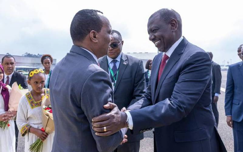 'Hustler' cruises into Addis Ababa in style aboard lavish Sh1.4b jet