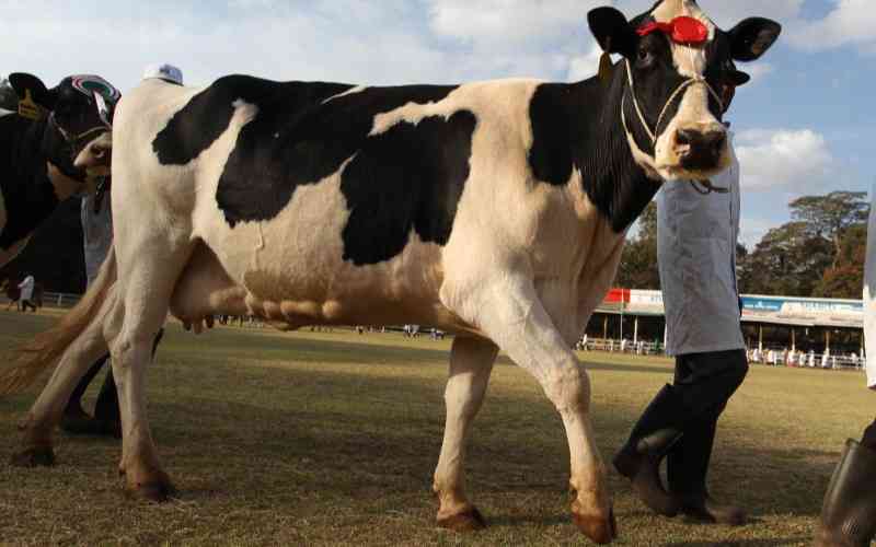 10 things you must do to make it in livestock farming in 2023