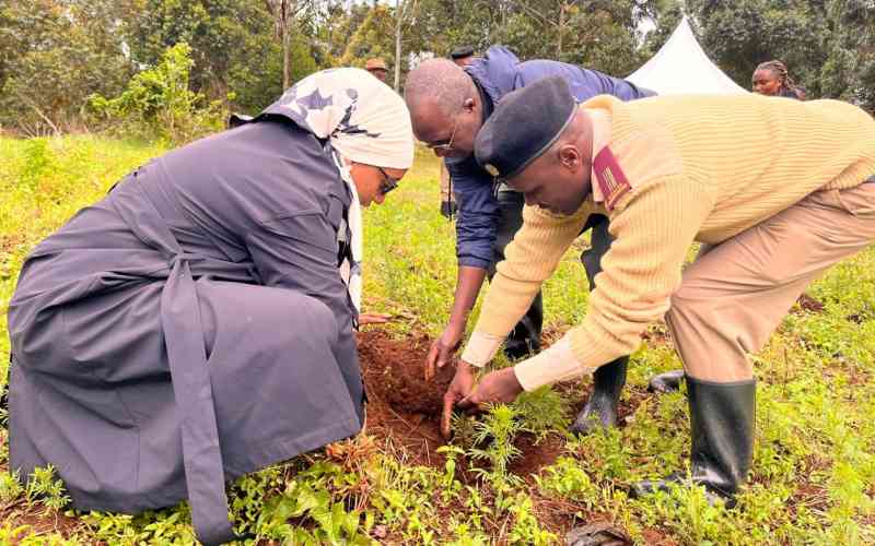 Community take the lead in Limuru forest restoration