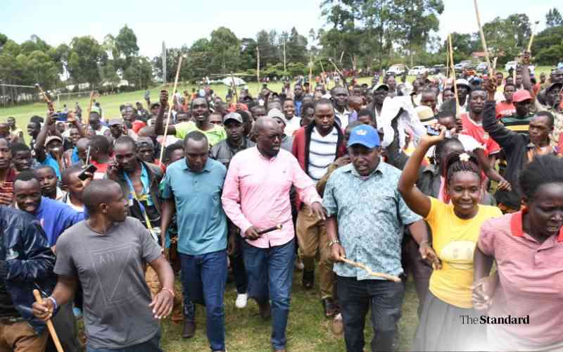 MCAs demand arrest of MP Johanna Ngeno over alleged "G12" gang sponsorship