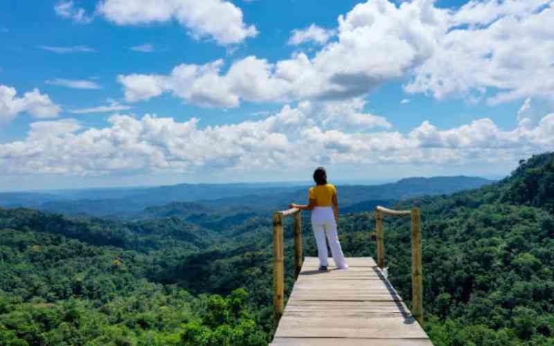 Travel green: A wanderer's journey