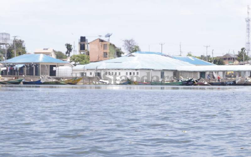 Sh140m fish plant lies idle for 2 years over lack of power