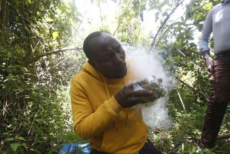 Turning the tide: Former poachers lead fight to save Mau Eburu forest