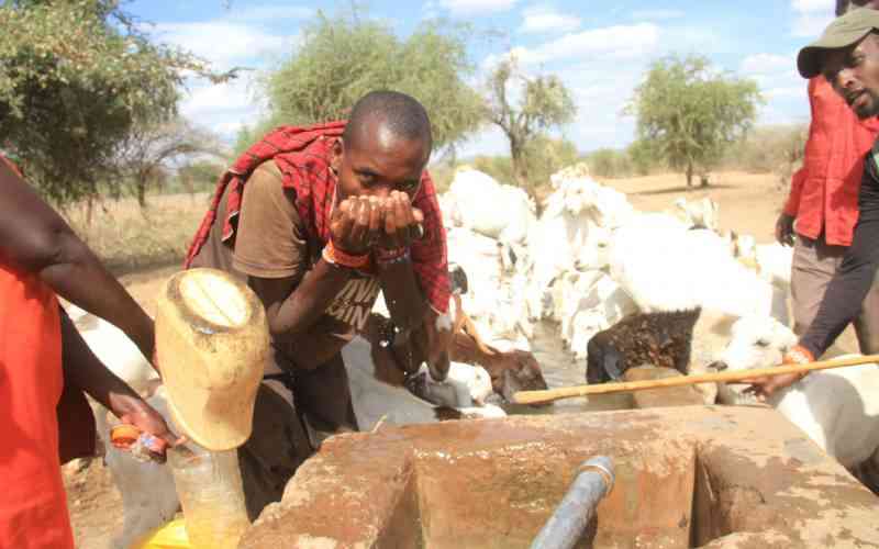 Thirst, despair grip Magadi as prolonged drought deepens water crisis