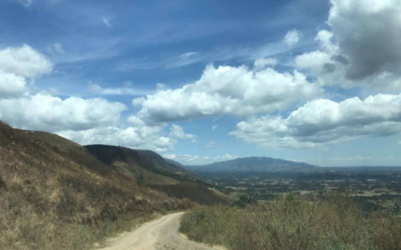 Leave the Aberdares Forest alone in plans for new road