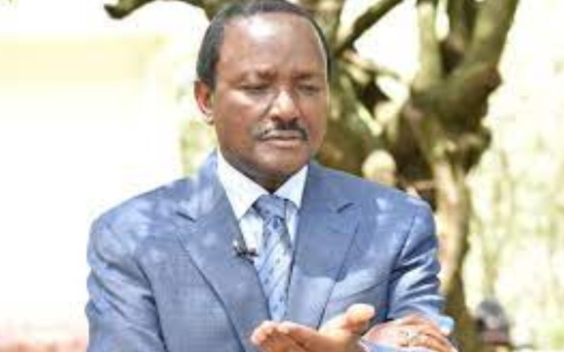 Kalonzo accuses Kenya Kwanza of plotting to frustrate NADCO report implementation