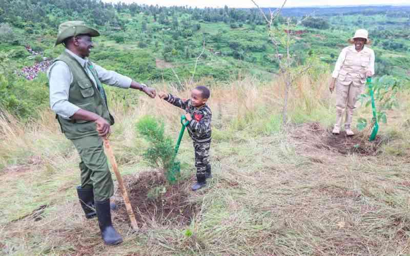 Blow for President Ruto as court declares Climate Council appointments unconstitutional