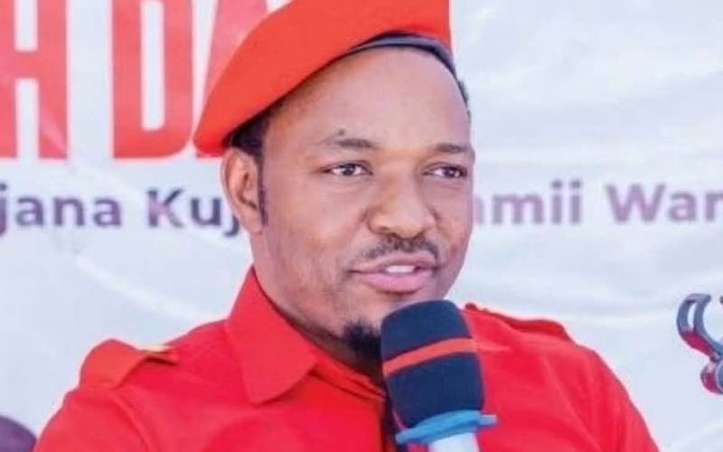 Linda Mwananchi condemns abduction of Tanzanian activist in Machakos