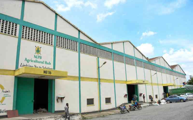 NCPB gets Sh1.22 billion to buy maize, other grains