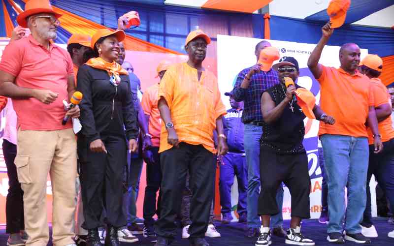 ODM leaders demand equal power-sharing deal with UDA in 2027 talks