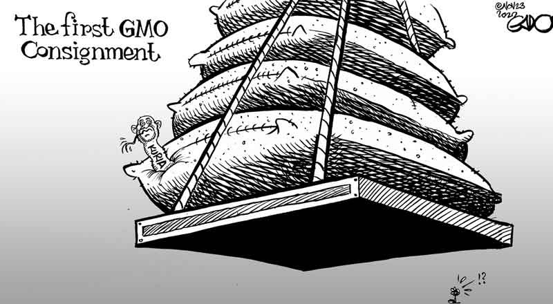 GMOs are here