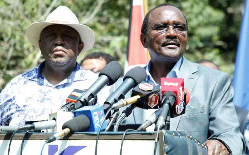 Kalonzo: Sale of Safaricom was a national abduction