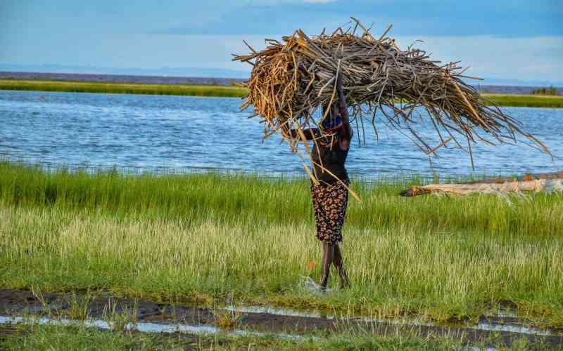 There is need for concerted effort to safeguard wetlands