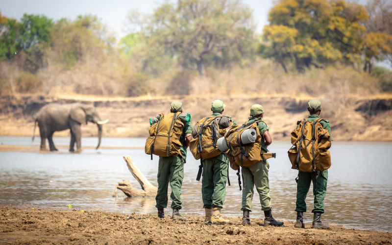 Over 1,000 rangers join Africa-wide half-marathon to fund conservation, demand reforms