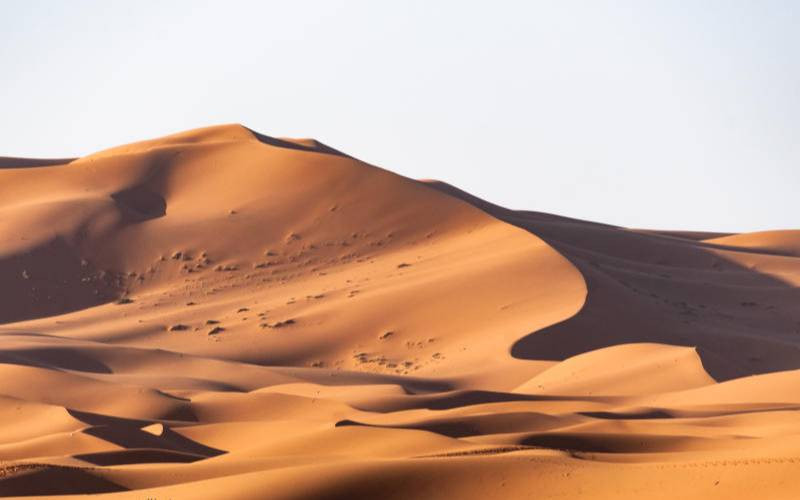 Of the Sahara, war veteran and effects of climatic change