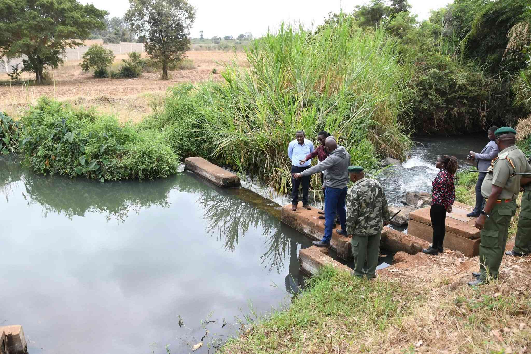 Ruiru Prison Farm to grow coffee on 100 acres under Sh73m irrigation project