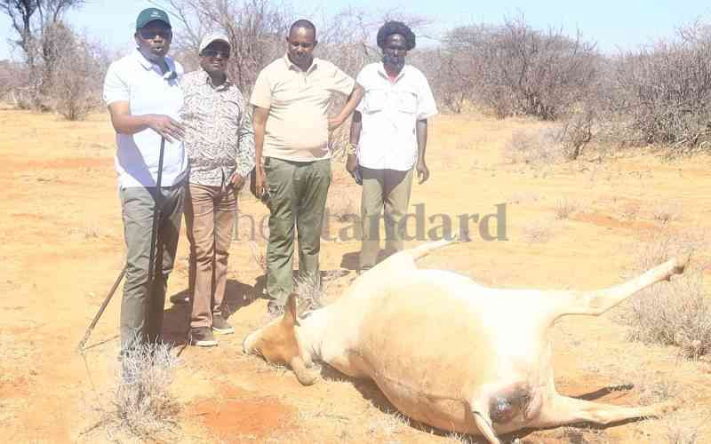 Samburu leaders demand compensation over livestock killings