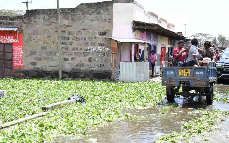 Kenya's climate laws mask deep failures as counties struggle with floods, waste