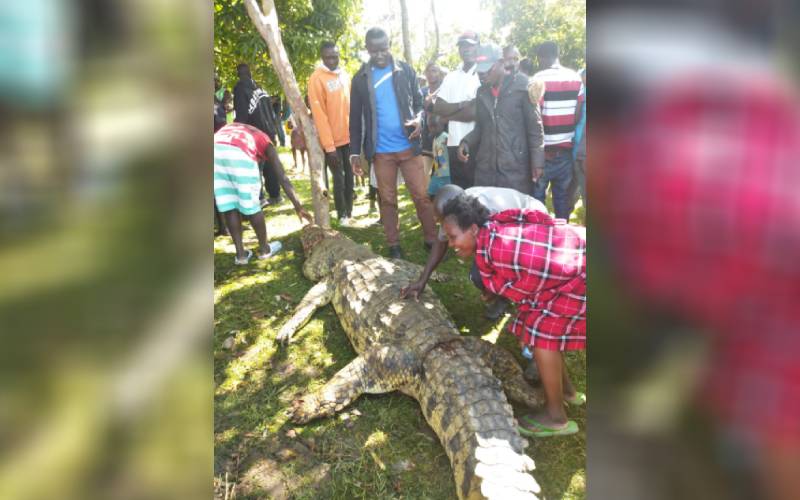 Locals kill 17-foot crocodile after boy, 3, mauled to death