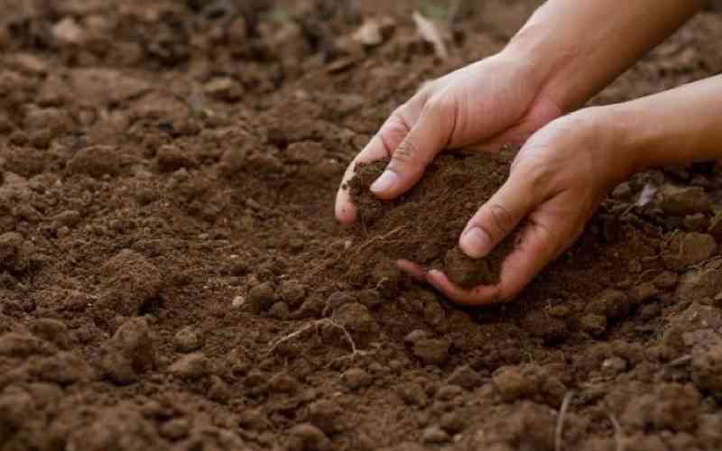 Soil experts call for sustainable solutions to address acidity crisis