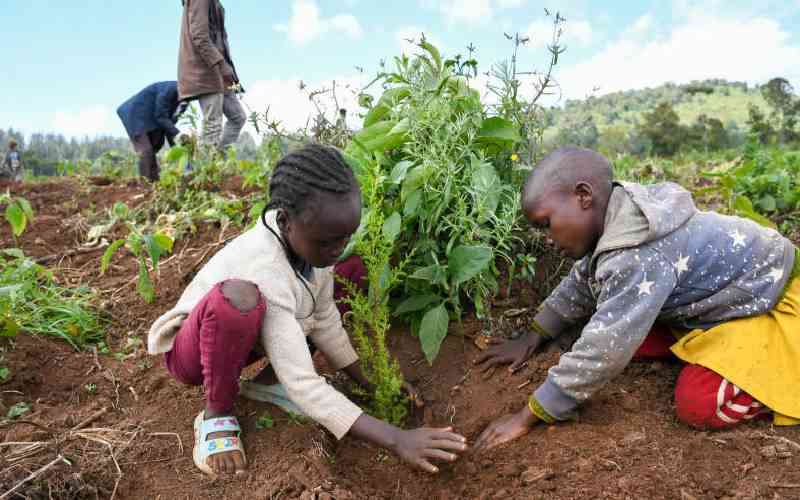 This Sunday is all about trees, truth and real transformation