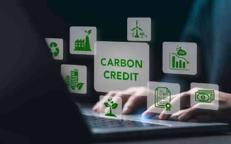 Why Kenya's carbon economy will be judged by the social contracts it builds   
