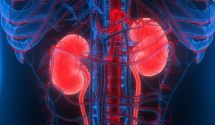  Kidney transplant patients accuse SHA of 'punitive' rules that put lives at risk