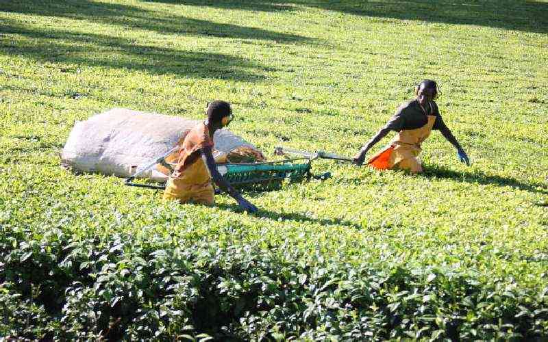 Tantrums won't resolve tea machines saga