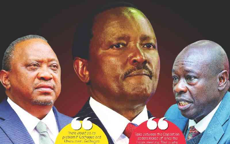 One-term plan: Inside Obasanjo, Uhuru and Kalonzo meeting