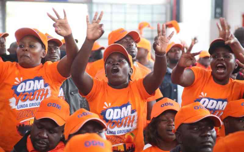 ODM youth reject protests, push for Inclusion and 2027 strategy