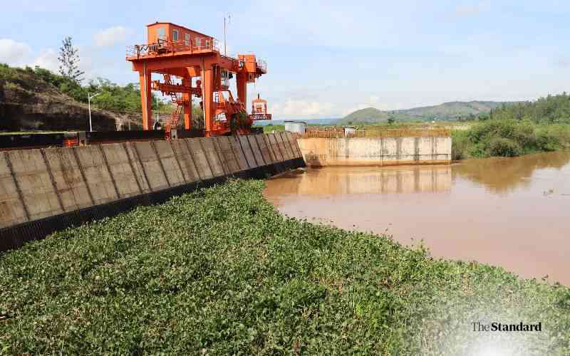Water hyacinth: A pain and gain for the African ecosystem