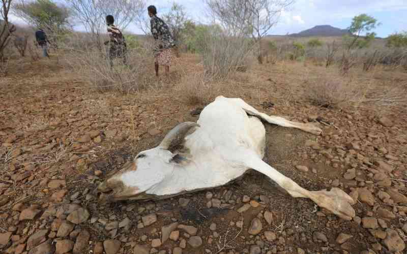 Climate crisis deepens hitting...