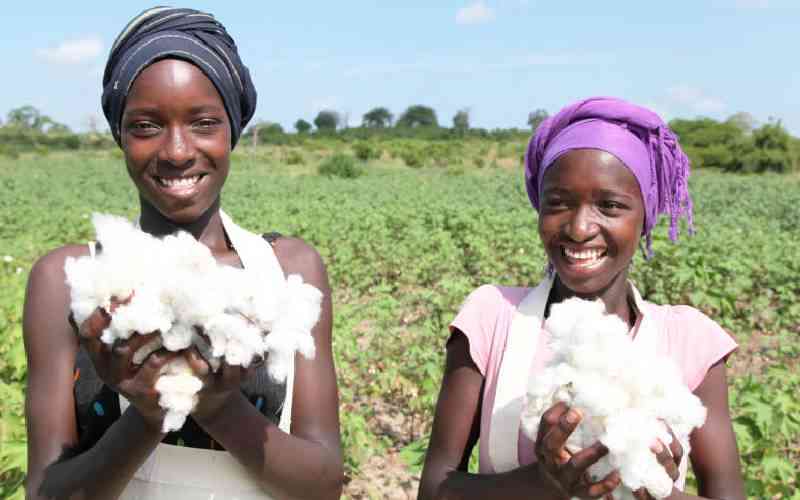 Boost for cotton farmers as Kw...