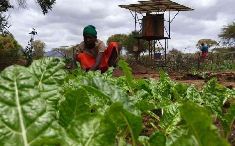 Africa should stop imitating the West, it needs to become itself