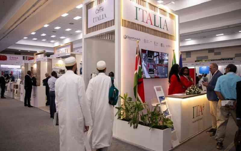 Italy's bet on Kenya's construction industry