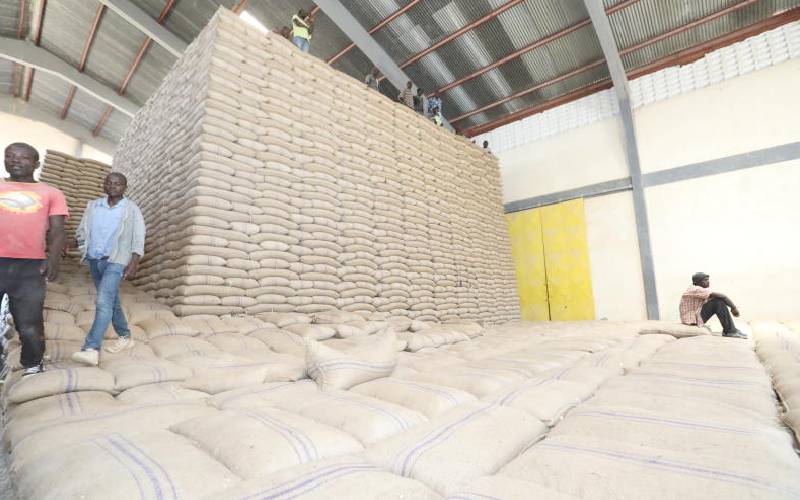 Fears of food crisis as maize shortage bites, prices shoot up