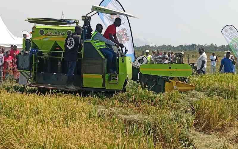 Relief to hundreds of farmers as LBDA turns idle Ondago Swamp into a rice farm