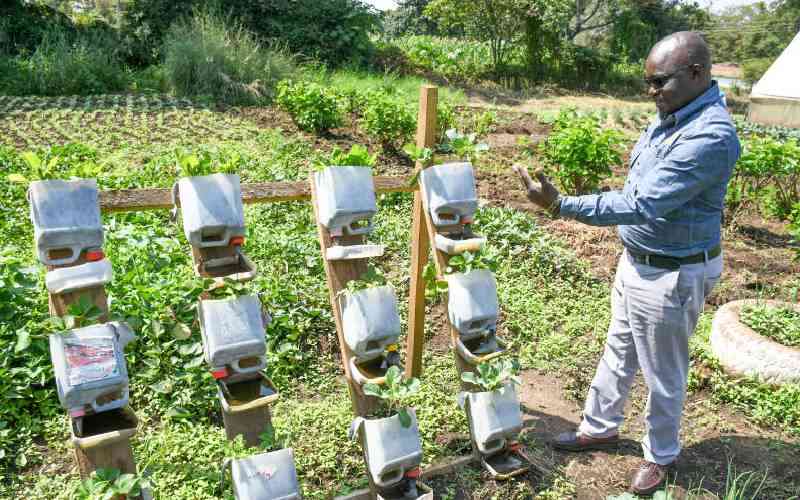 Why Africa's climate playbook must start on the farm