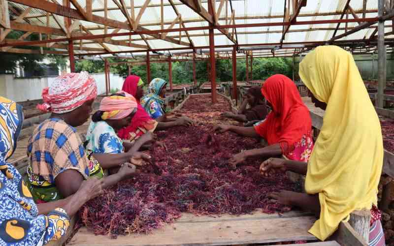 Agency pushes for investment in agro-marine hubs, infrastructure