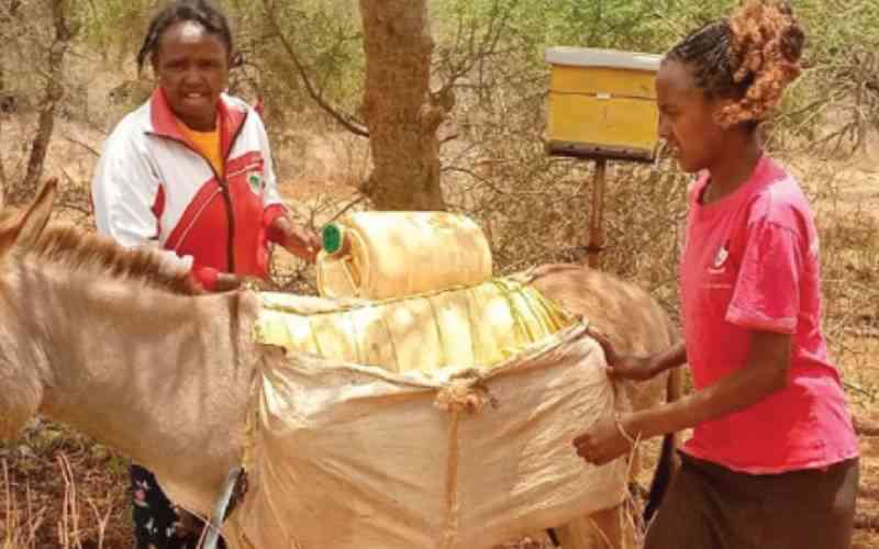 A well of hope in dry lands turns the tide on thirst and hostilities