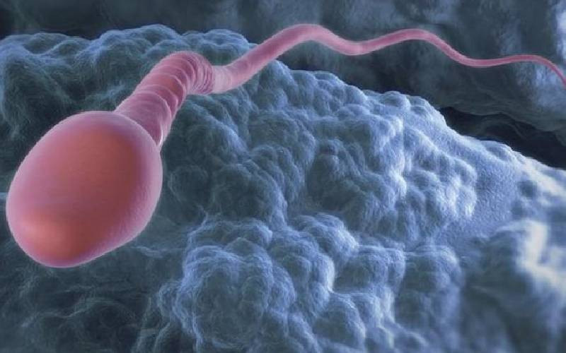 Dutch court bans serial sperm donor who fathered over 550