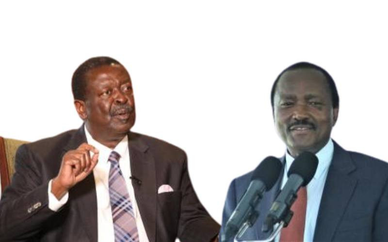 'You should know better,' ministry tells Kalonzo over 'reckless' DRC remarks