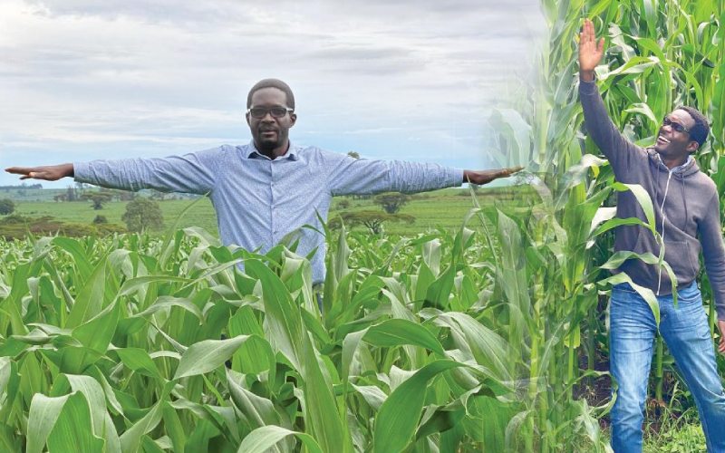 Ezra Chiloba: After polls storm, I found new purpose in farming