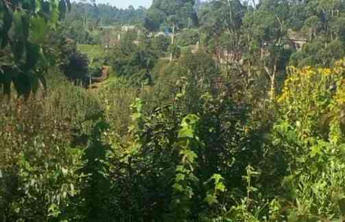 Fifth body found dumped in Kijabe forest