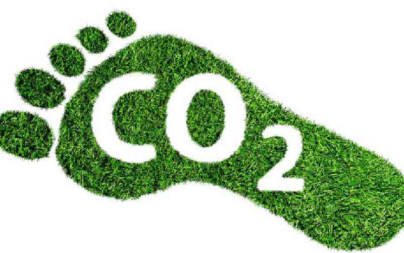 Boost integrity of carbon offset projects to combat climate change effects