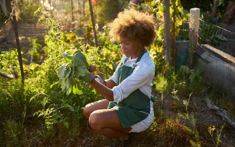 A guide to making the most of your social media break