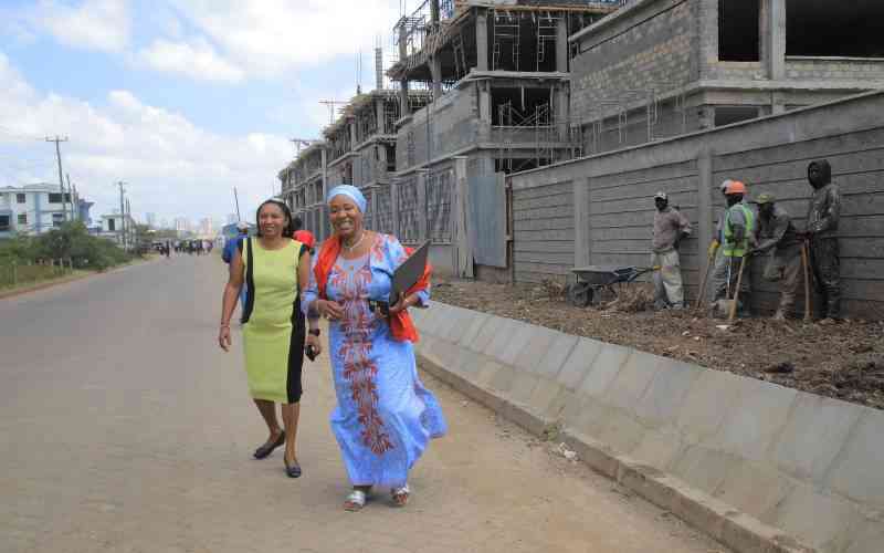 Why Senators wants multi-billion investment at Lang'ata's Phenom Estate stopped