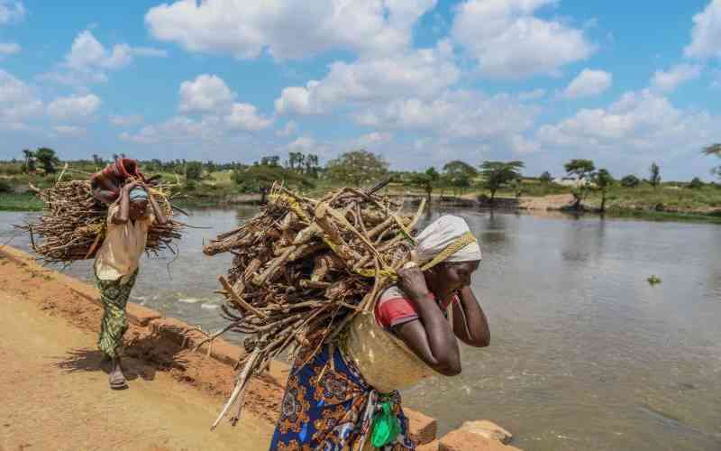 Community groups fight growing threats to the wetlands