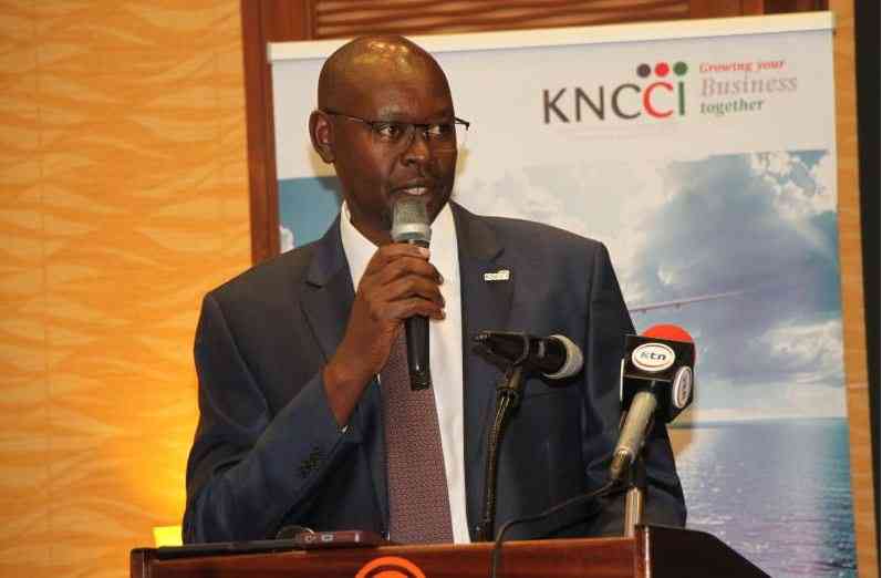Businesses warn looting a threat to job creation and investments